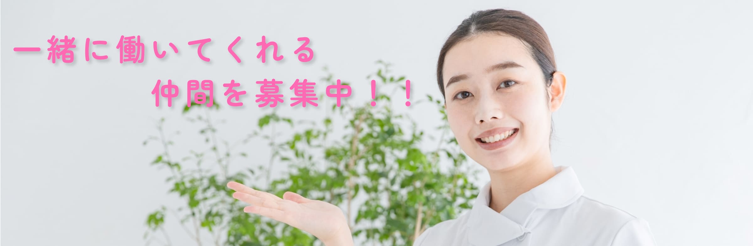 一緒に働いてくれる仲間を募集中